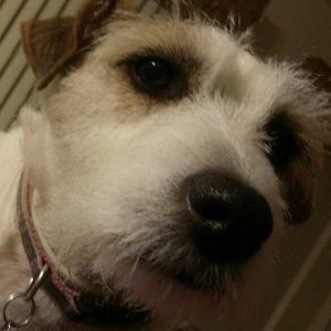 Meet your Posher, William